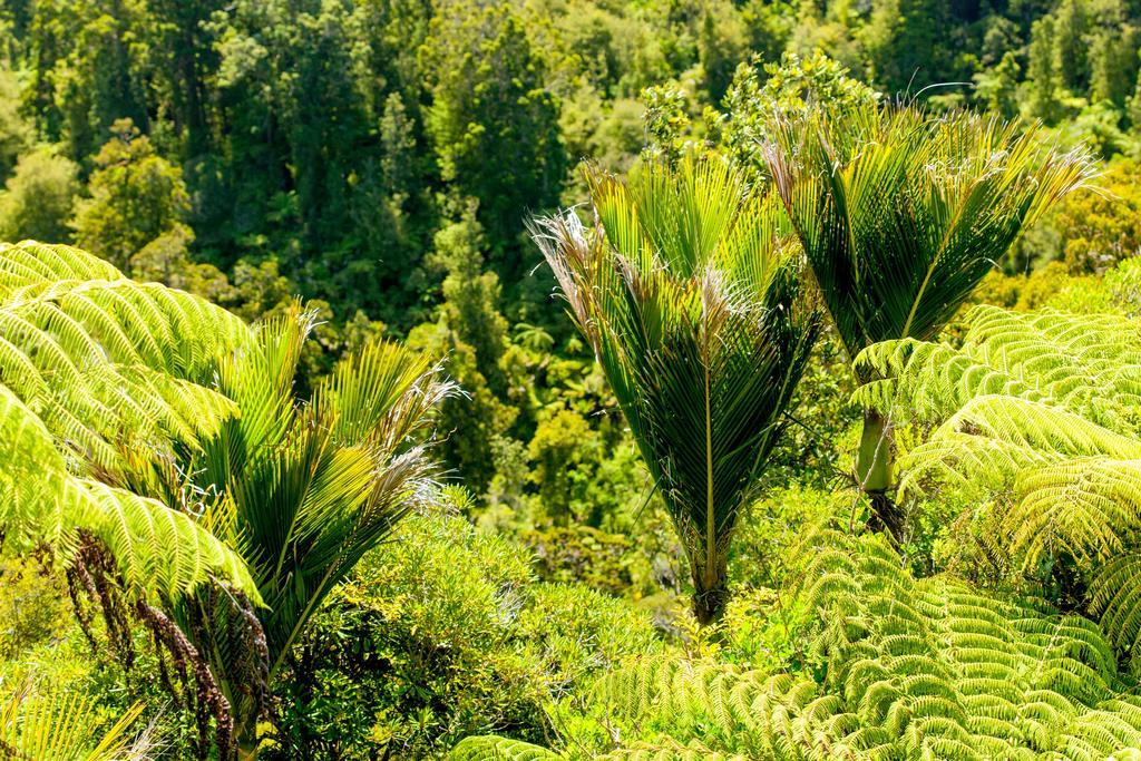 Waitakere Resort&Spa Auckland Eksteriør bilde