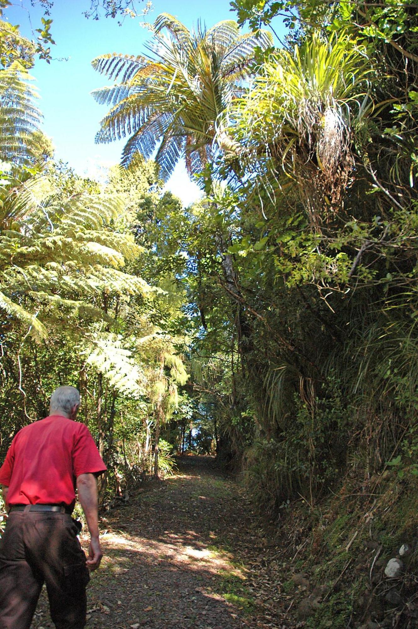 Waitakere Resort&Spa Auckland Eksteriør bilde